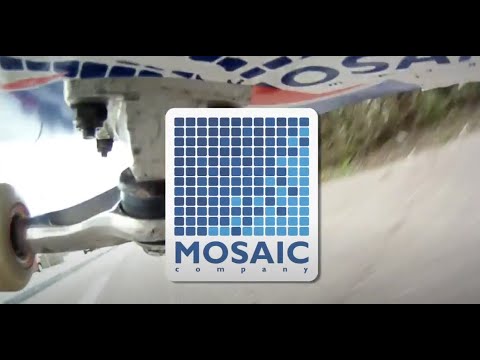 MOSAIC - TEAM "Weed"