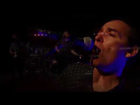 BSA (badly stuffed animals) | Cover bands | TPMA