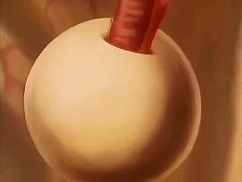 Es war einmal … das Leben Staffel 1 Folge 17 - Screen 08 HD Deutsch