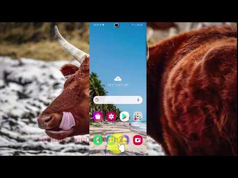 Samsung Galaxy S20 : How to change Vibration pattern (Android 10)
