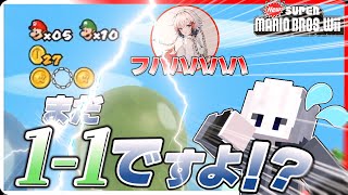 【マリオブラザーズwii】なぜか醜いマリブラ実況