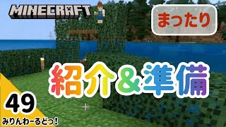 # 49 裏で変えた部分の紹介とこれからの作業の準備をします！まったり作業【マイクラ記録動画】【Minecraft】編集少なめ