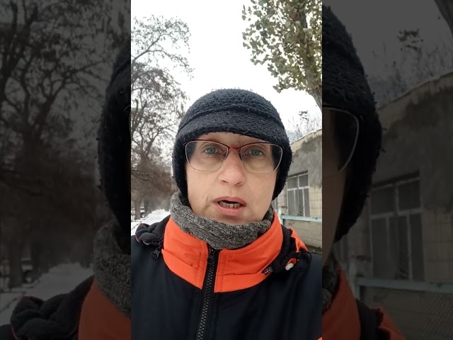 Фото Рекомендації про організації прогулянки з собакою. Базові навички.