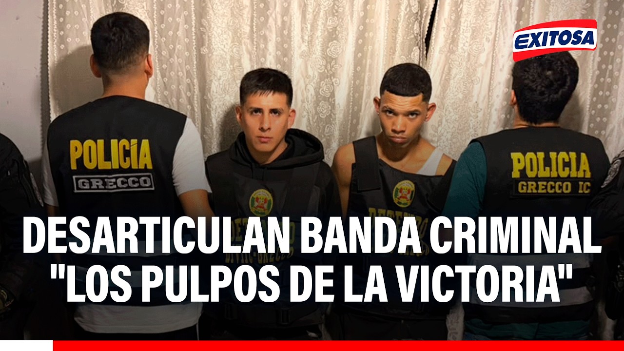 🔴🔵 Desarticulan banda criminal "Los Pulpos de La Victoria"