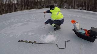 Ссылка