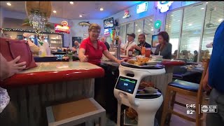Local restaurant using robot waiter