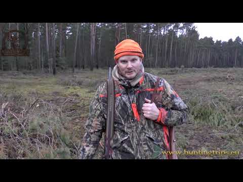 3 hjortejakt i polen; Best driven hunt; the best in life: hunting in poland