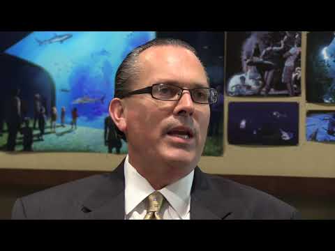 Work Moving Forward On $45 Million Union Station Aquarium