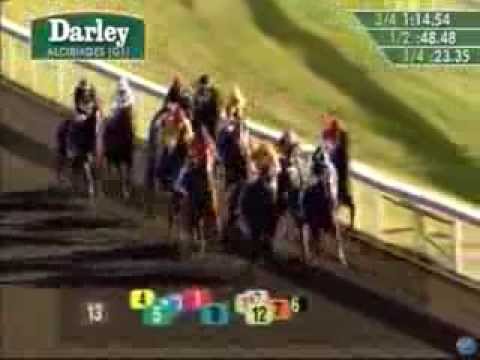 2013 Darley Alcibiades Stakes - My Conquestadory