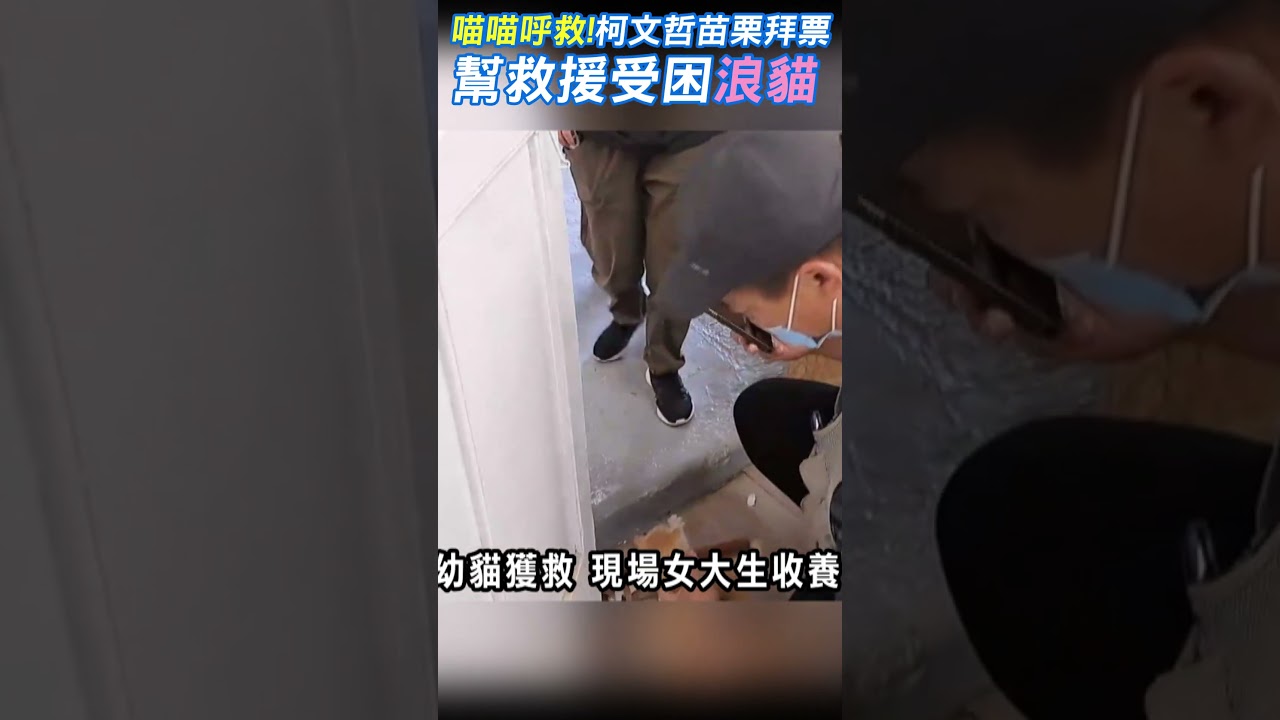 柯文哲苗栗拜票沒地方人士陪 遇浪貓幫救援女大生現場收養