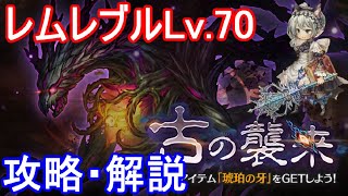 【探索70】レムレブルLv 70攻略・解説【ミトラスフィア】