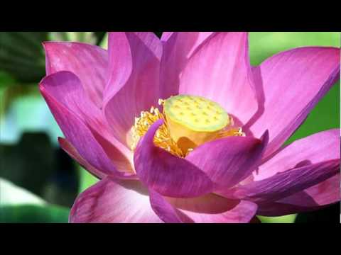 Kalbinin sesini dinle...