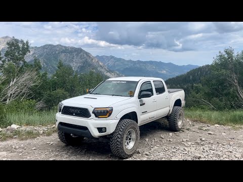 Big Taco Update!