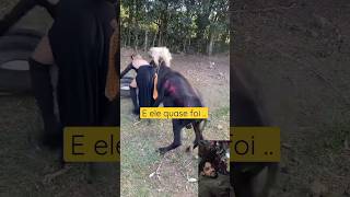 amazing funny video ? || #shorts #short #funny