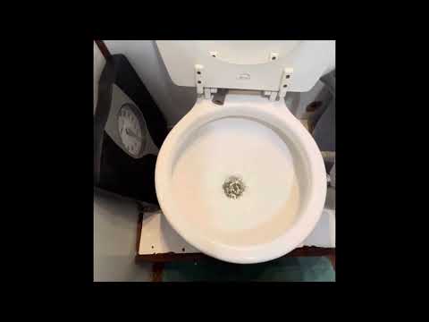 Jabsco toilet modification to improve flushing