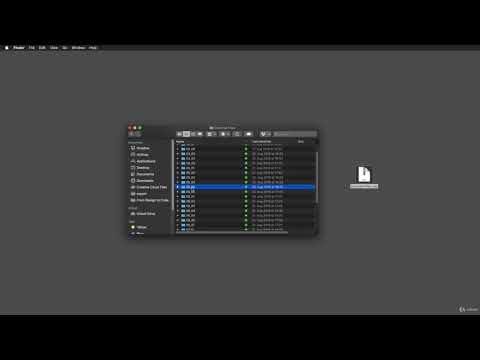 From Sketch Design to iOS 12 App with Swift 4 and Xcode 10 : Using the Project Files