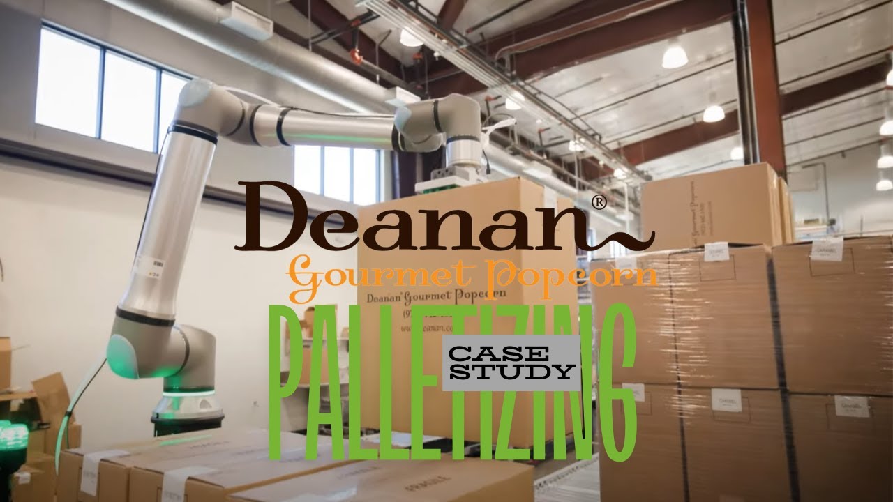 Deanan Palletizer Case Study