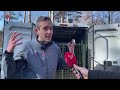 Stichting AAP in Polen aangekomen om dieren te redden