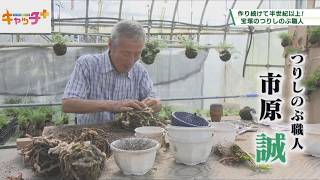 【がくともの】作り続けて半世紀以上！　宝塚のつりしのぶ職人