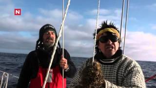 Petter heiser det palestinske flagget på Berserk