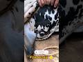 Bye Bye Qurbani Mandi Bakraeid2023 Cow Cowmandi Mandivlog Tiktok Facebook Instagram