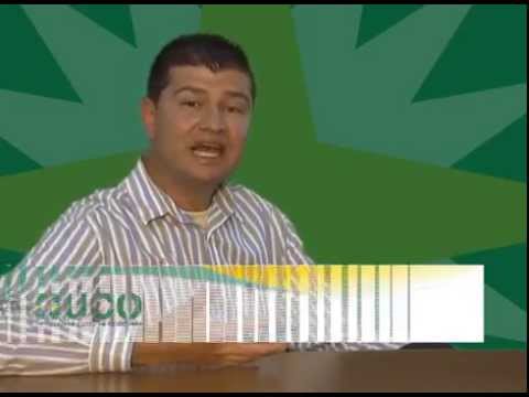 Motivación escribir Ingles