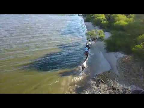 ISLA DE LOBOS RIO NEGRO