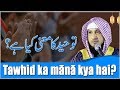 Tawhid ka mānā kya hai ?  || By Hafiz JAVEED USMAN Rabbani