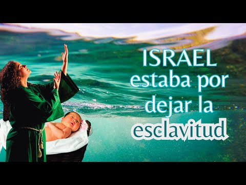 El Nacimiento de Moisés | Dios comenzaba a preparar el éxodo de Israel | Éxodo 2 | Parte 1