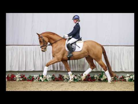 30 Funky Fox Wallach v. Fürst Piccolo - Funkenspiel