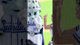 #FubonAngels 慈妹 全富武莊 w/ Frankie #台湾チア  #cheerleader #fubongardians