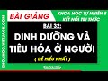Khoa học tự nhiên 8 Bài 32: Dinh dưỡng và tiêu hóa ở người | Kết nối tri thức