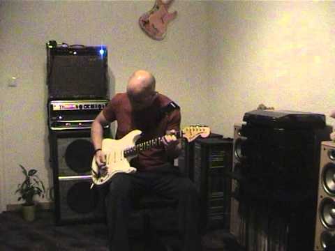 G.O.N.D. - Treueschwur (Guitar Cover)