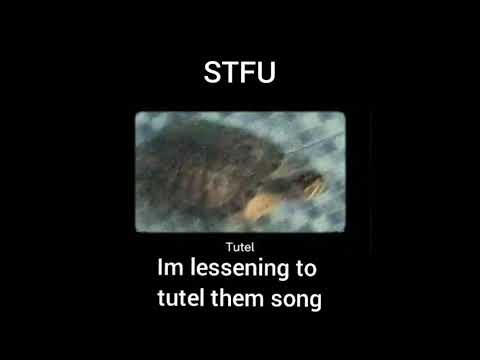 Tutel theme song meme (30 mins)