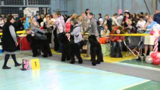 , видео 16.01.2016