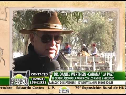 DE FRENTE AL CAMPO y CABAÑA "LA PAZ" de WERTHEIN