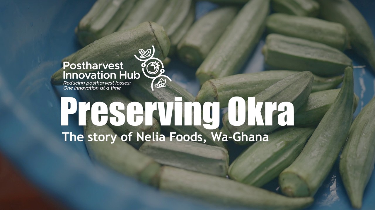 Preserving Okra: Postharvest Innovation by Nelia Foods