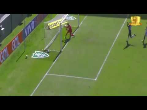 Frango do João Carlos da Ponte Preta contra o Atlético MG