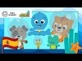 Peces Y Colores Exploradores Del Océano Caricaturas Para Niños Baby Einstein En Español