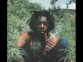 Peter Tosh - Out of space 