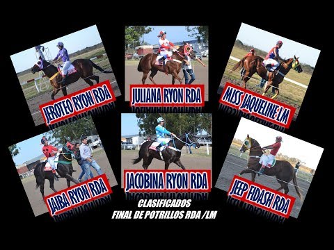 Clasificatorias Polla RDA - LM (23-07-17)