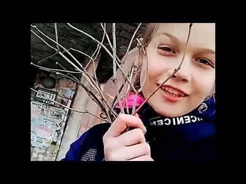 Лера из канала Daniel boy в лайке!!! #5