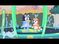 Splashing Around Bluey