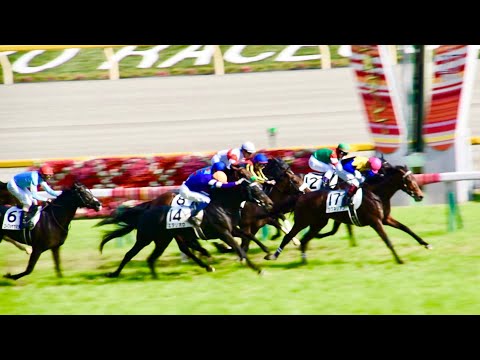 日本ダービー東京優駿②ワグネリアン＆福永祐一＠東京競馬場