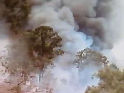 When Dinosaurs Roamed America - Fire