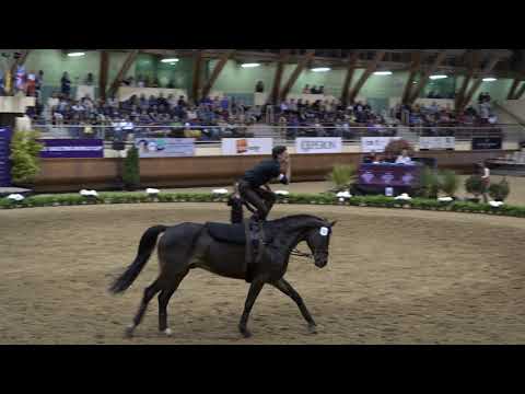 Sebastien Martin freestyle