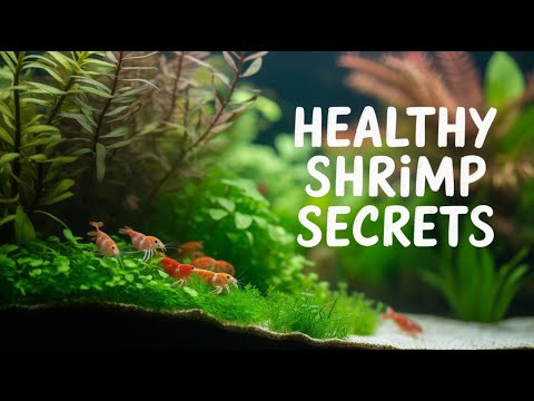 What Plants Keep Your Shrimp Happy and Healthy