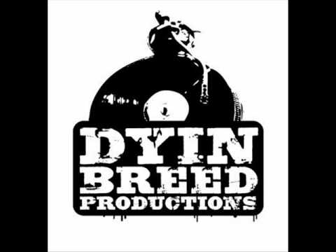 Khan, Muhamed, Skam - Underground zlo (2005.)