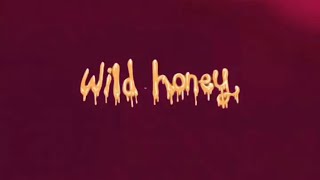 awfultune - wild honey (official music video)