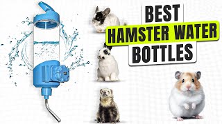 3 BEST Hamster Water Bottles - Don’t Let Your Hamster Go Thirsty!